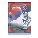 Sleeve.webp