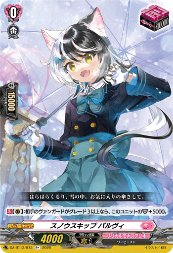 DZ-BT13/073 R+ Snowskip, Palvi