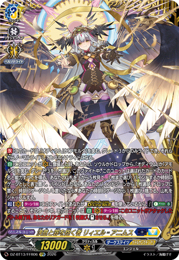 DZ-BT13/FFR06 FFR One Who Bears Resolve and Sin, Liael゠Animus