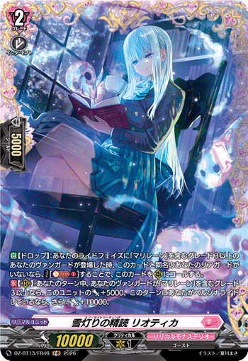 DZ-BT13/FR46 FR Snowlight Reading, Liothek