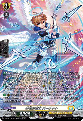 DZ-BT13/SR25 SR Knight of Charity, Baadact